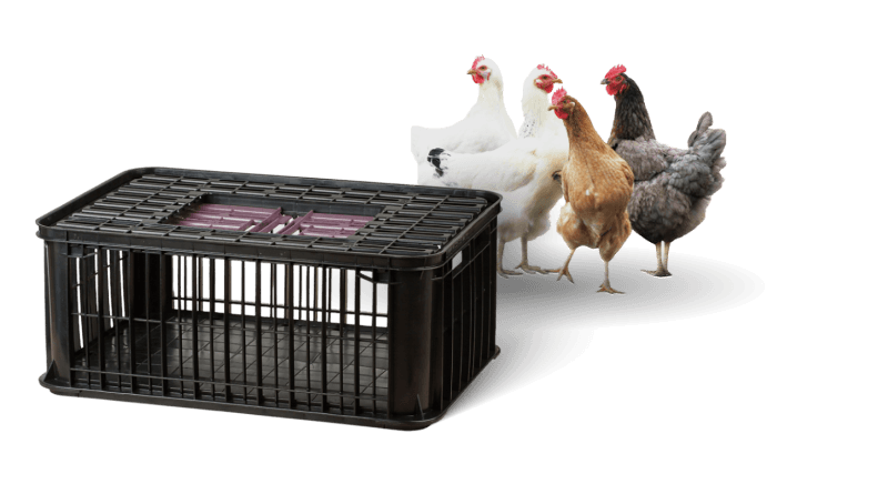 Přepravky na drůbež SKLADEM