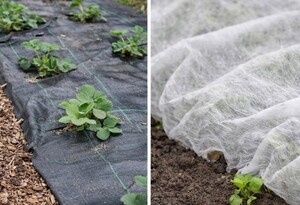 Proč je textilie víc než jen kus látky?